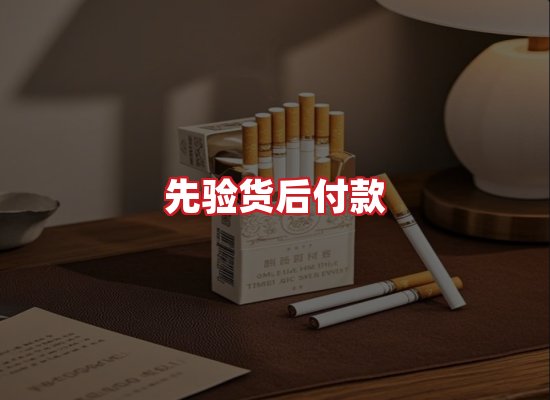 专业团队